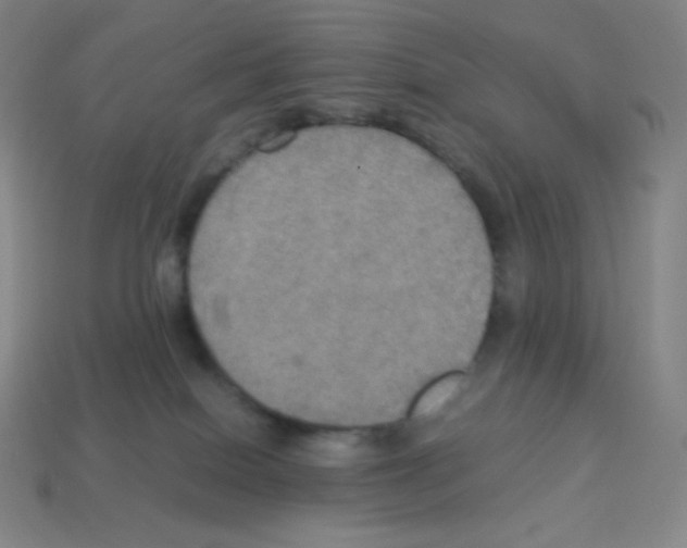 X0000113110086200910091208