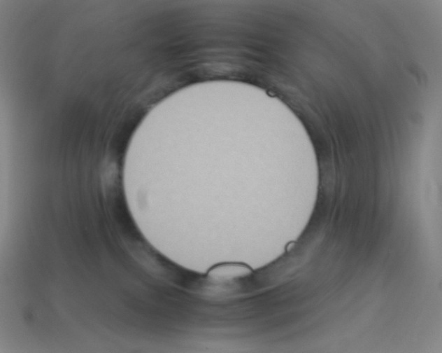 X0000113110087200910091208
