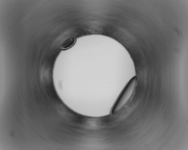 X0000113110088200910091208