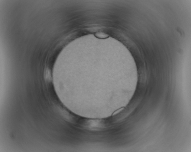 X0000113110089200910091208
