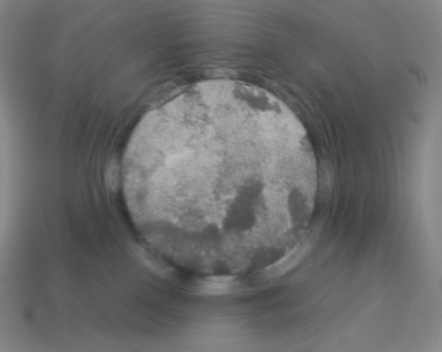 X0000113110090200910091208