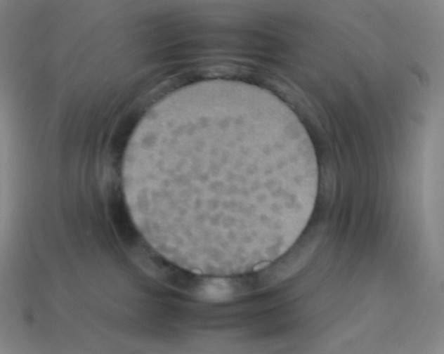 X0000113110091200910091208