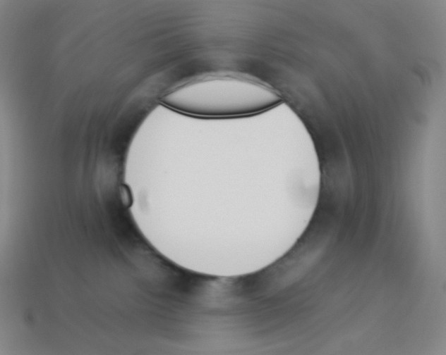 X0000113110092200910091208