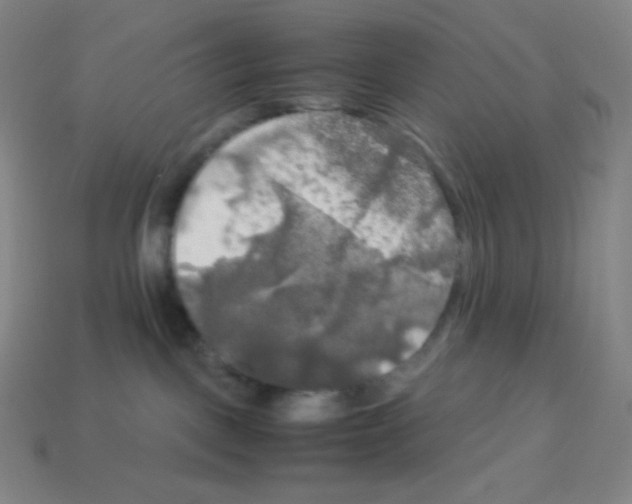 X0000113110093200910091208
