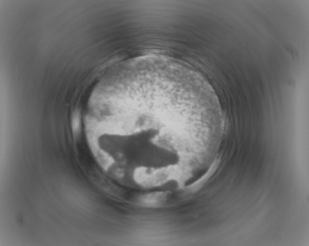 X0000113110094200910091208