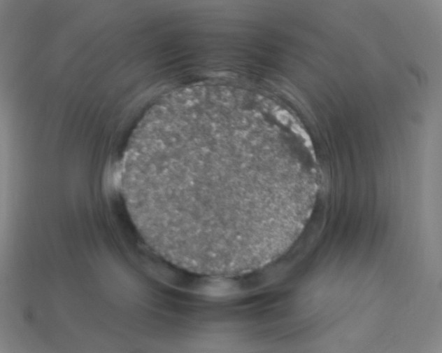 X0000113110095200910091208