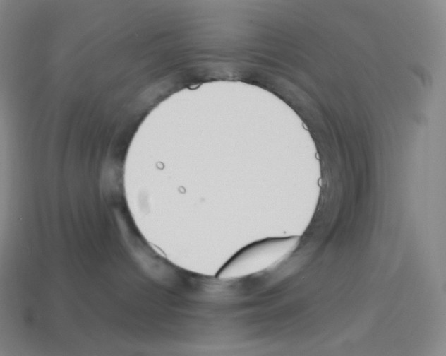 X0000113110096200910091208