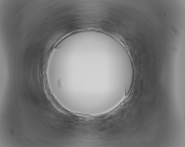 X0000113110097200910091207