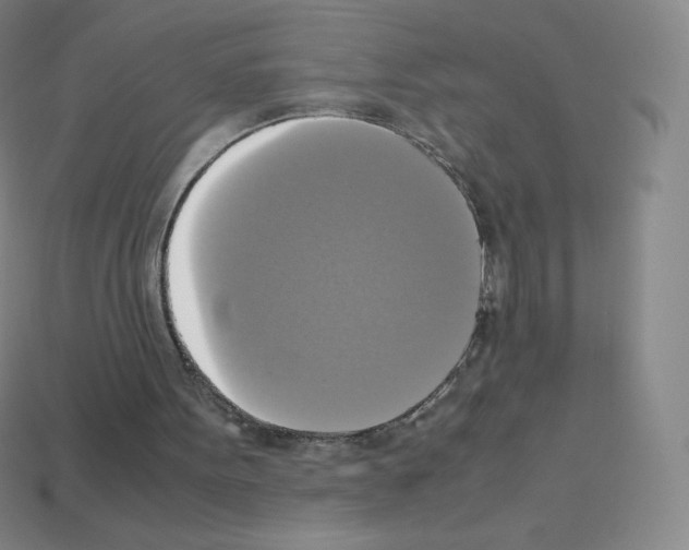 X0000113110099200910091207