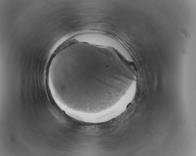 X0000113110100200910091207