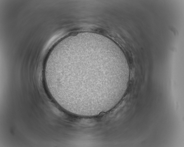 X0000113110101200910091207