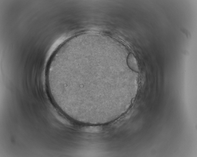X0000113110102200910091207