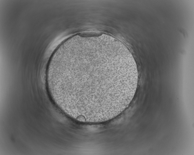 X0000113110103200910091207
