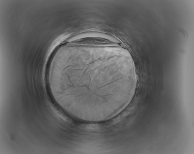 X0000113110104200910091207