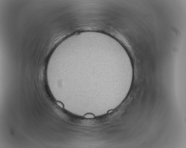 X0000113110105200910091207