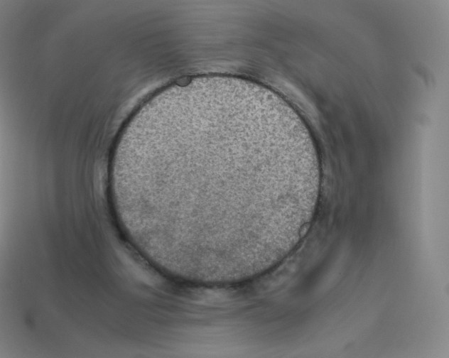 X0000113110107200910091207