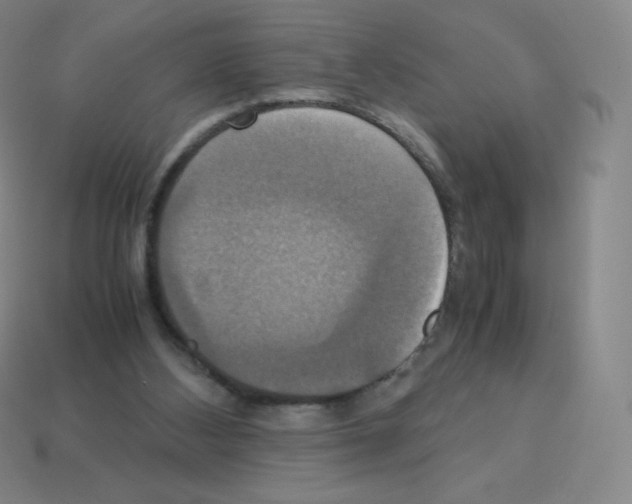 X0000113110108200910091207
