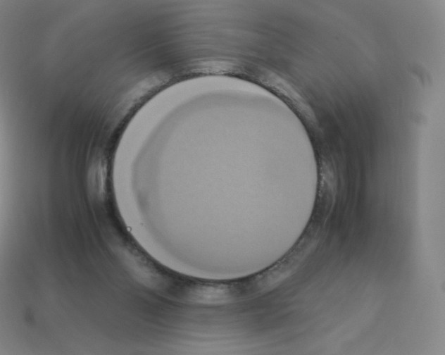 X0000113110110200910091207