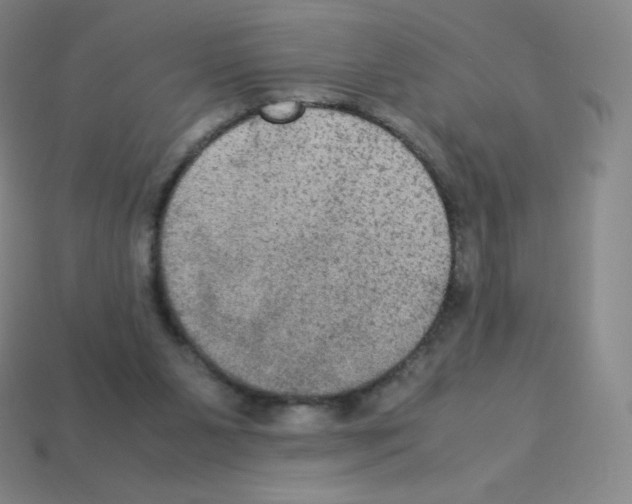 X0000113110111200910091207