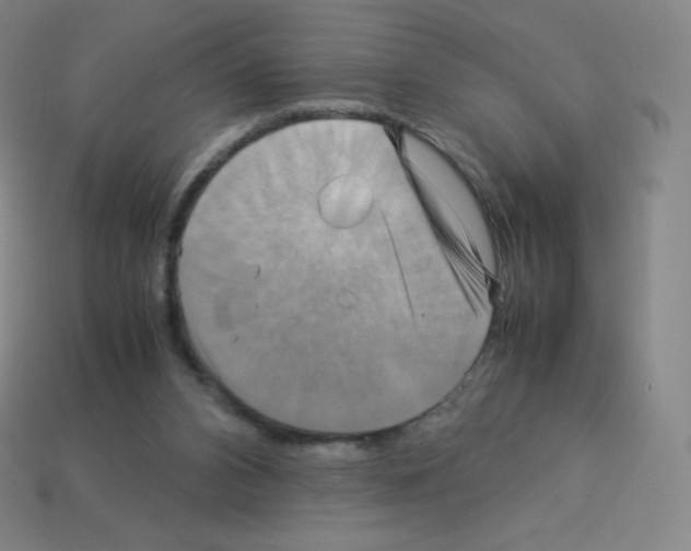 X0000113110112200910091207