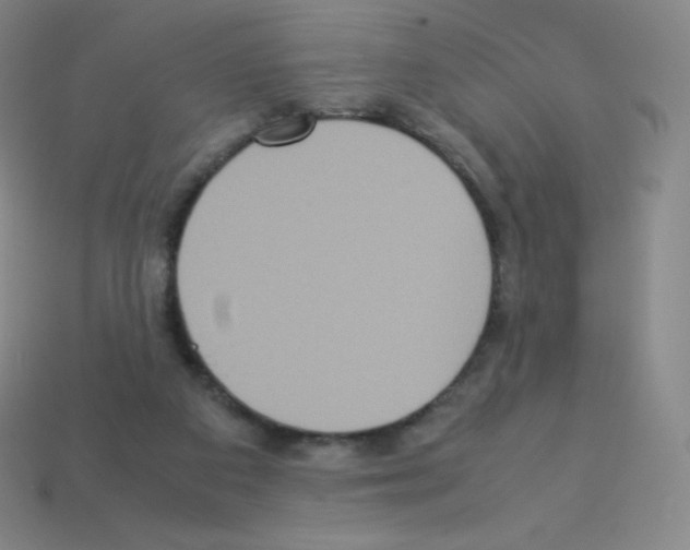 X0000113110113200910091207