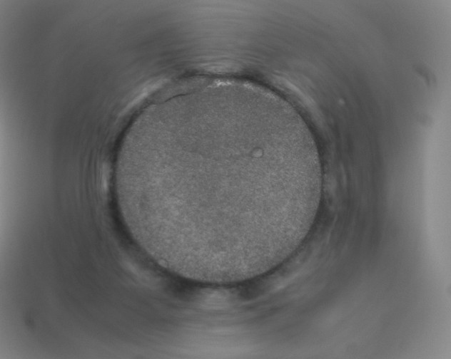 X0000113110115200910091207