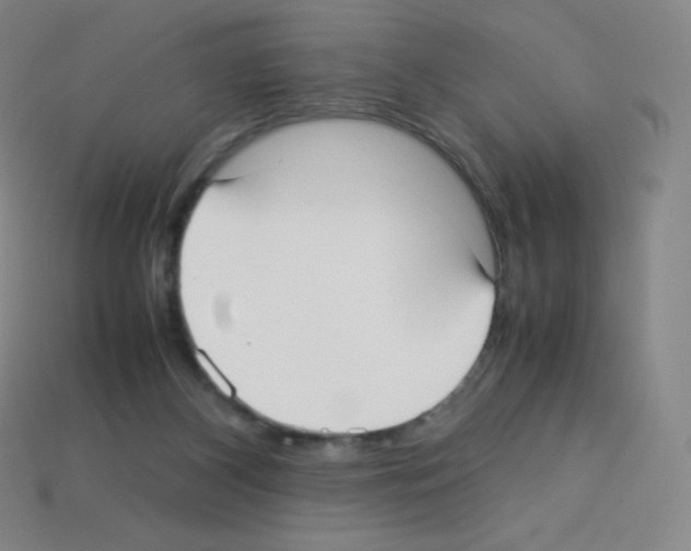 X0000113110116200910091207