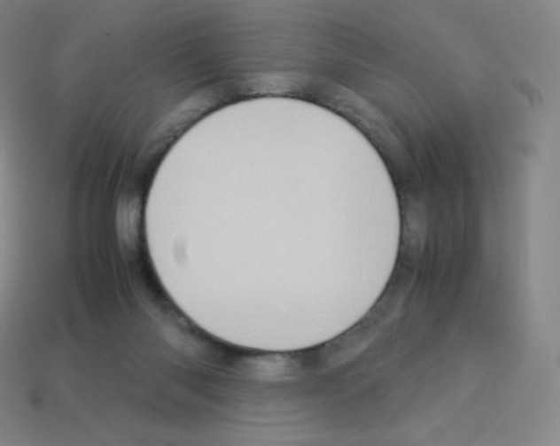 X0000113110118200910091207