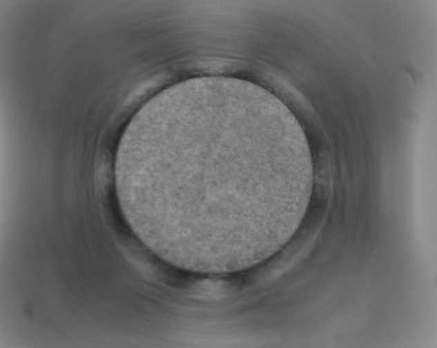 X0000113110119200910091207