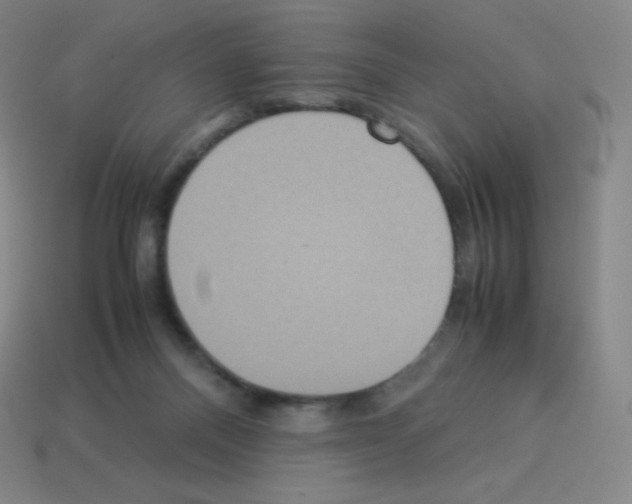 X0000113110120200910091207