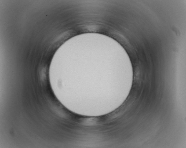 X0000113110122200910091207