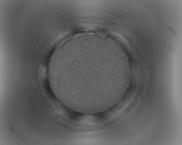 X0000113110123200910091207