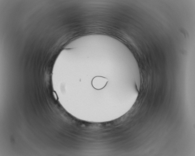 X0000113110124200910091207