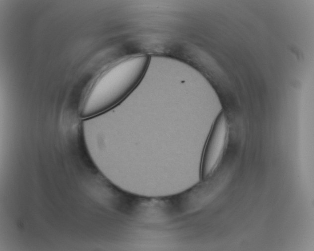 X0000113110125200910091207