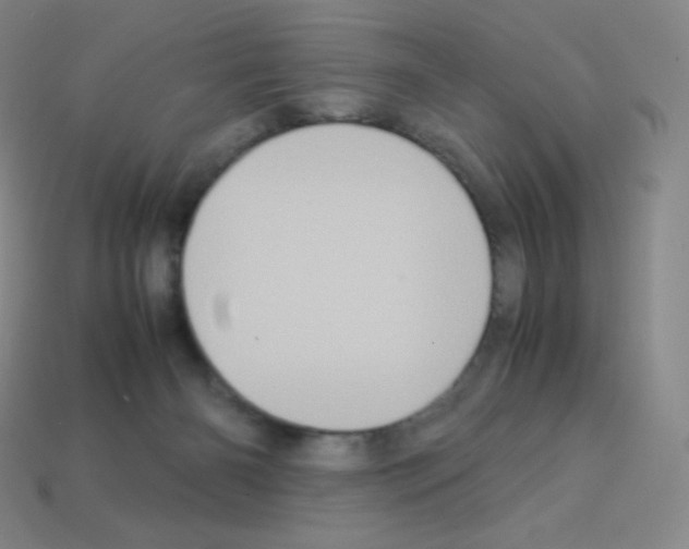 X0000113110126200910091207