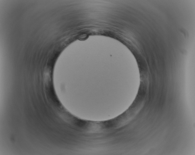 X0000113110127200910091207
