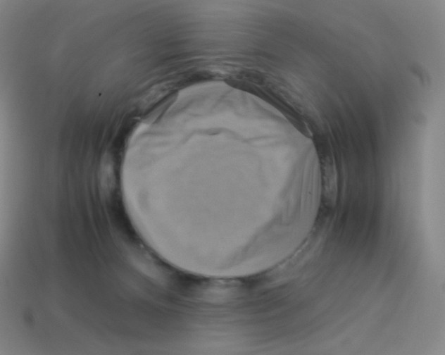 X0000113110128200910091207