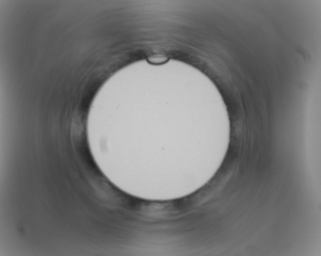 X0000113110129200910091207