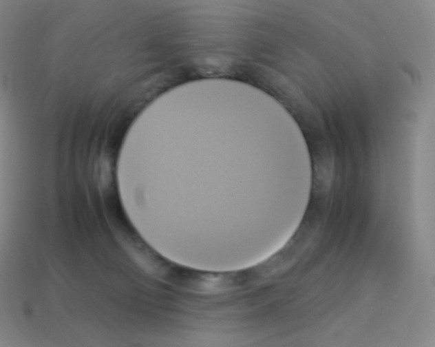 X0000113110130200910091207