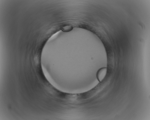 X0000113110131200910091207