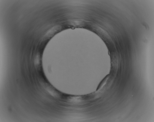 X0000113110132200910091207