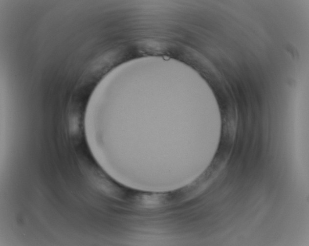 X0000113110134200910091207