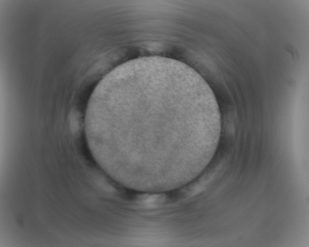 X0000113110135200910091207