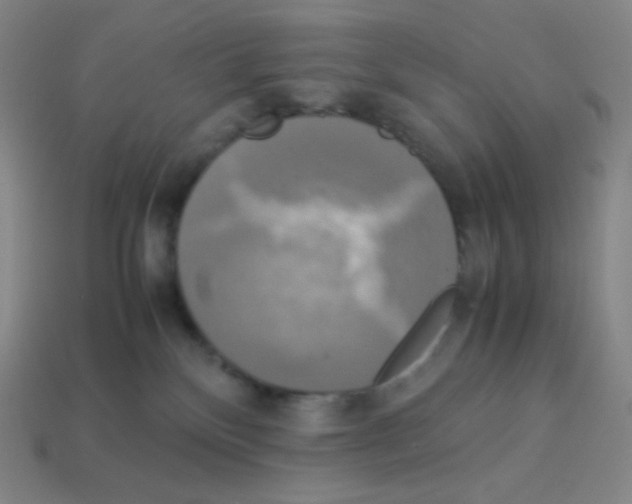 X0000113110136200910091207