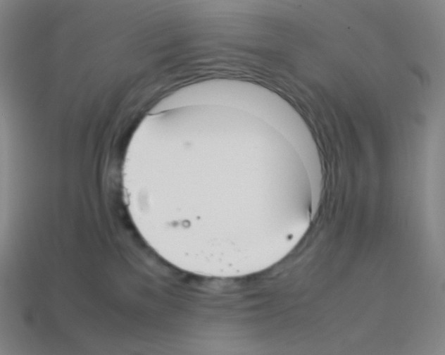 X0000113110137200910091207