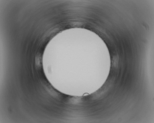 X0000113110138200910091207
