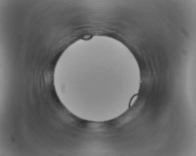 X0000113110139200910091207