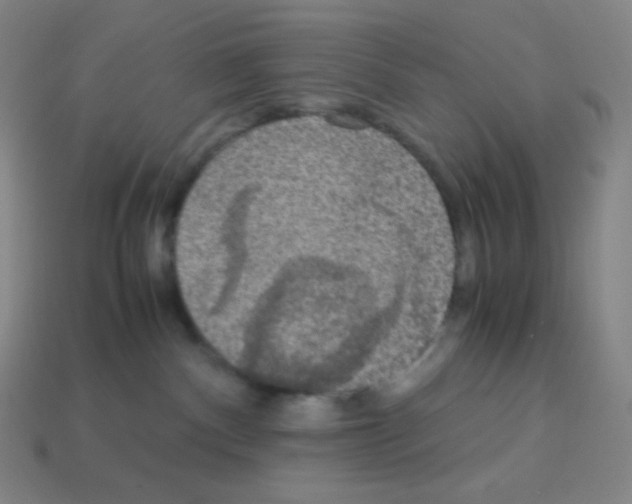 X0000113110140200910091207