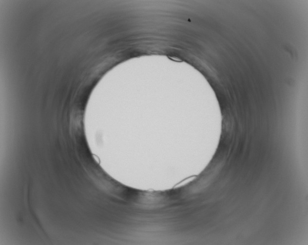 X0000113110141200910091207