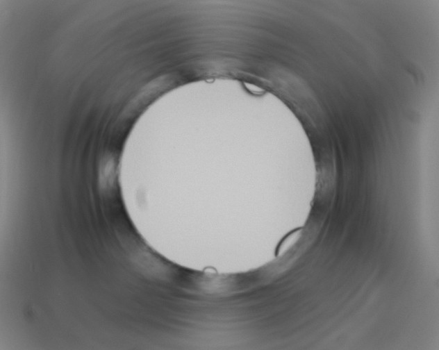 X0000113110142200910091207